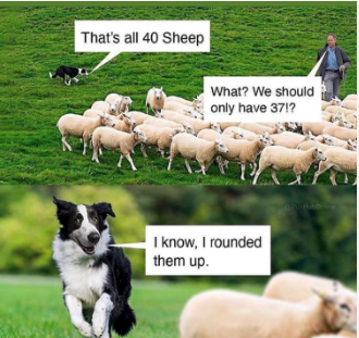 The top half shows a sheepdog and a farmer working with some sheep. The sheepdog says 'That's all 40 sheep' and the farmer replies 'What? We should only have 37!?' The second half shows a close-up of the sheepdog saying 'I know, I rounded them up.'